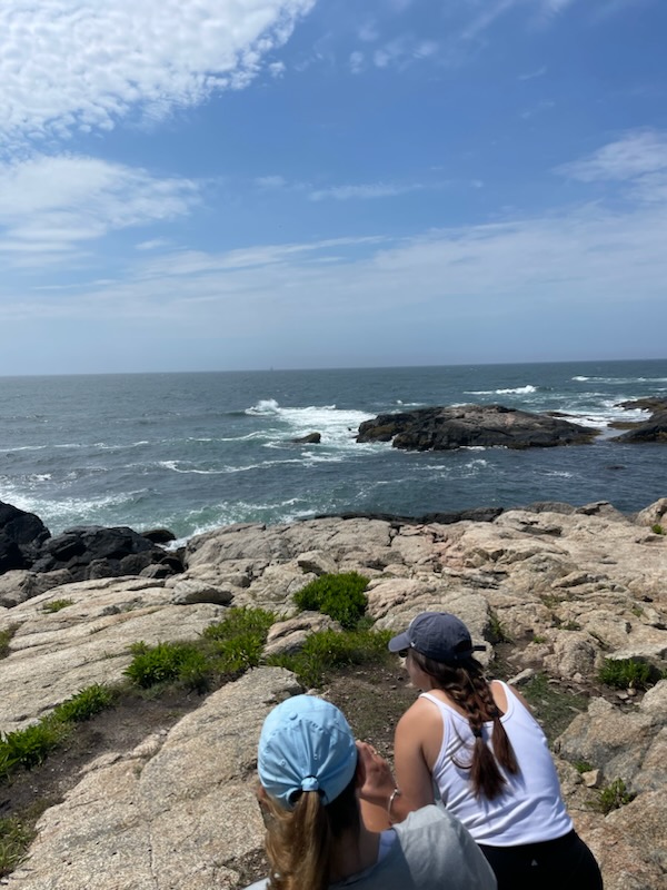 Two people with their backs to the camera look out at a rocky ocean shore. One person wears a white tank top and a gray hat, while the other wears a blue hat and a darker shirt. The ocean waves crash against the rocks under a partly cloudy sky.