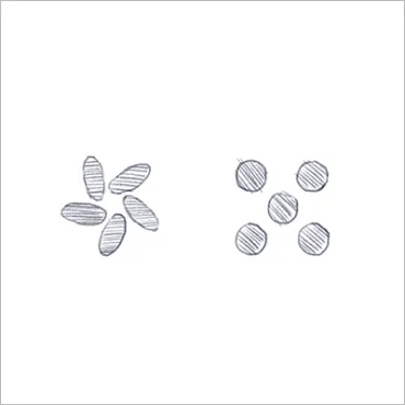 A white background featuring two clusters of gray, textured shapes. On the left, there are six elongated oval shapes arranged in a star-like formation. On the right, there are five circular shapes arranged in an X pattern.