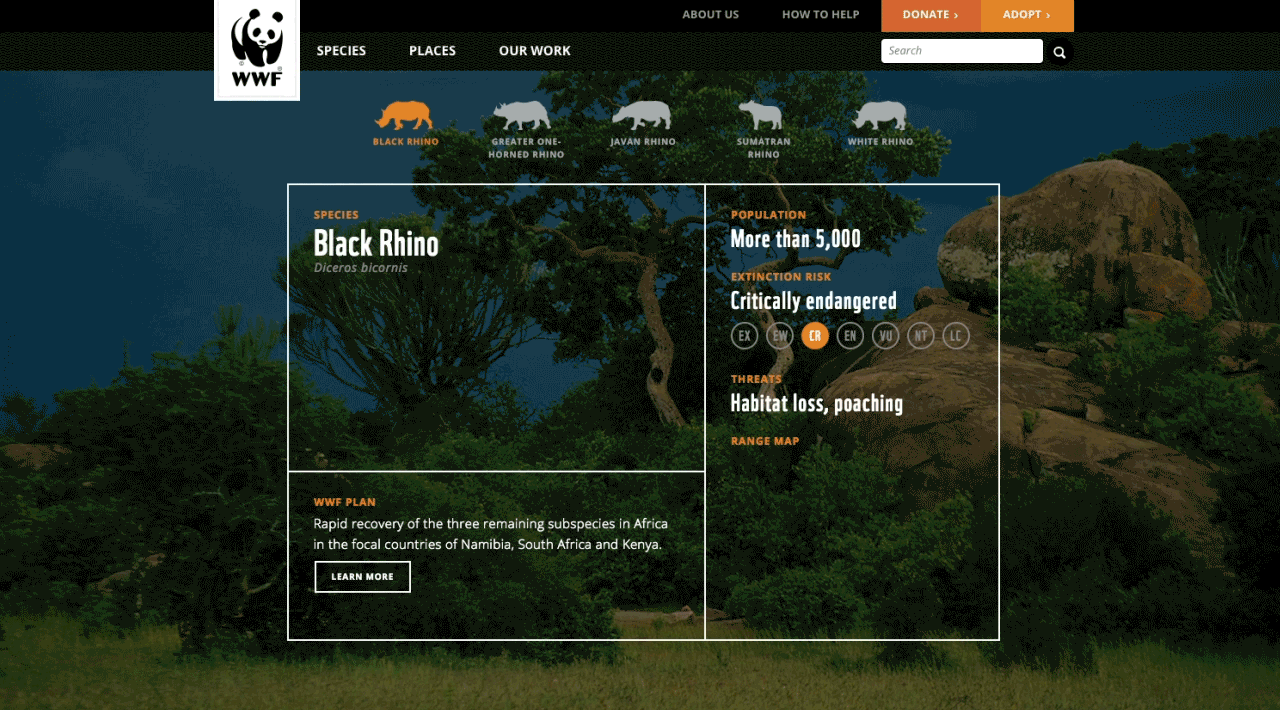 WWF webpage featuring information on the critically endangered Black Rhino. It mentions a population of over 5,000 and threats like habitat loss and poaching. The site also highlights advocacy campaigns within the conservation plan in Namibia, South Africa, and Kenya.