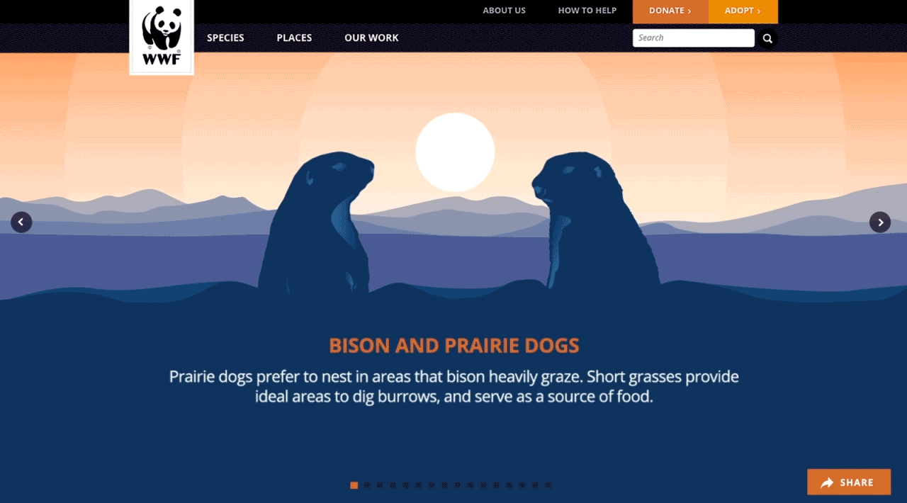 Illustration featuring two prairie dogs standing on their hind legs in silhouette with a setting or rising sun and mountains in the background. The text reads: "Bison and Prairie Dogs. Prairie dogs prefer to nest in areas that bison heavily graze. This digital impression highlights how short grasses provide ideal areas to dig burrows and serve as a source of food.