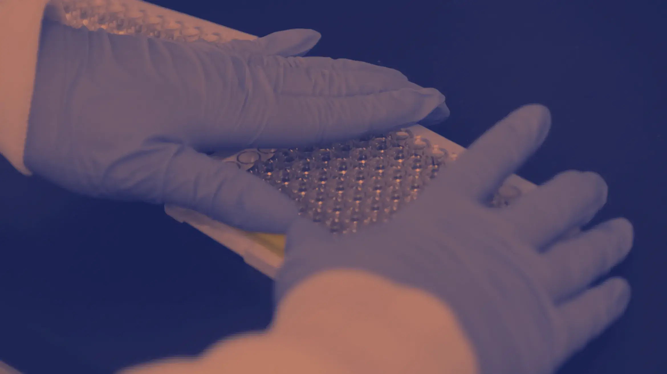 A person wearing blue gloves is handling a clear microplate with multiple wells, likely used for laboratory testing or research. The background and the subject are tinted with a blue hue, showcasing the meticulous effort of the Alliance to Protect Medical Innovation.