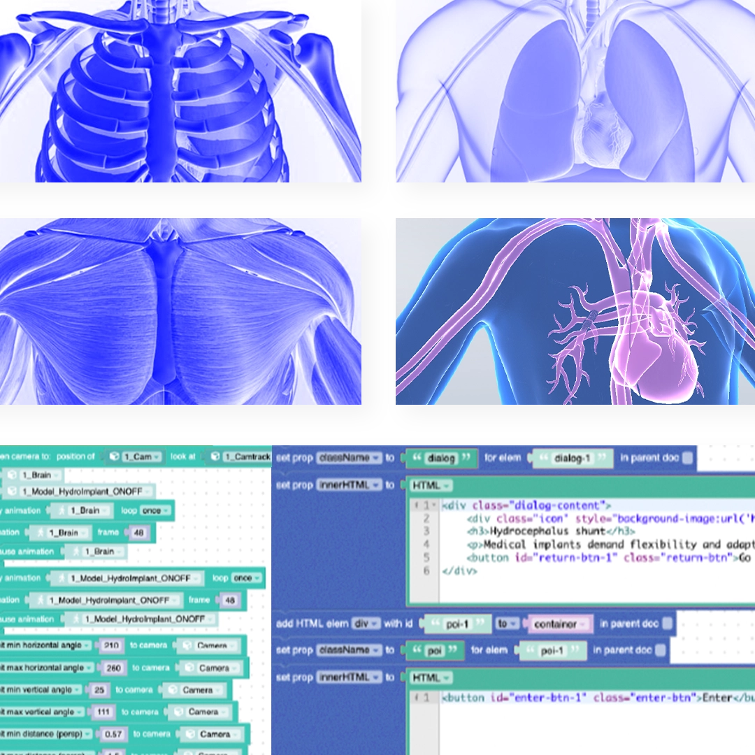 A collage featuring four blue-tinted medical images of the human body, showcasing the ribcage, upper body muscles, and a circulatory system view with lungs and heart. Below, two screenshots display lines of HTML code in a text editor focused on user interface elements.